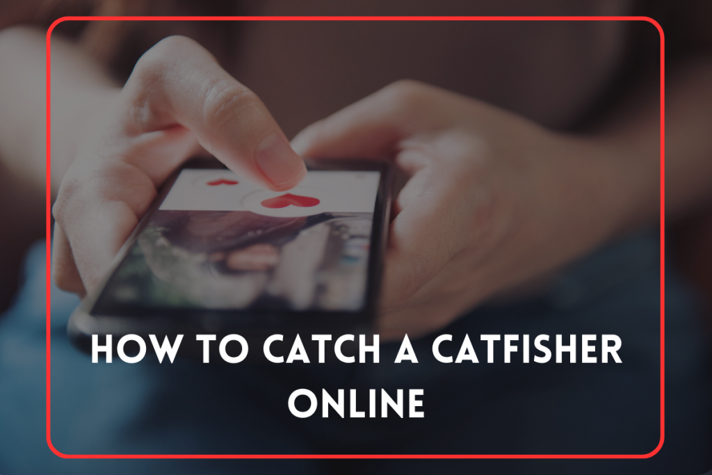 How to Catch a Catfisher Online: A Step-by-Step Guide